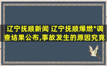 辽宁抚顺新闻 辽宁抚顺爆燃事件调查结果公布,事故发生的原因究竟是什么